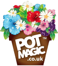 PotMagic