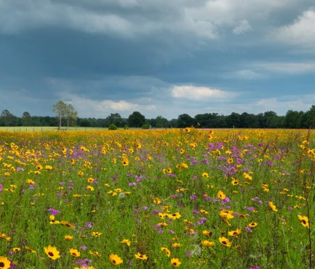 WOW Fully Height Adjustable Pan Trap Kit with 3 pan rings and 1.2m solid steel 4pc collapsible post - £15.75 - Ships Worldwide