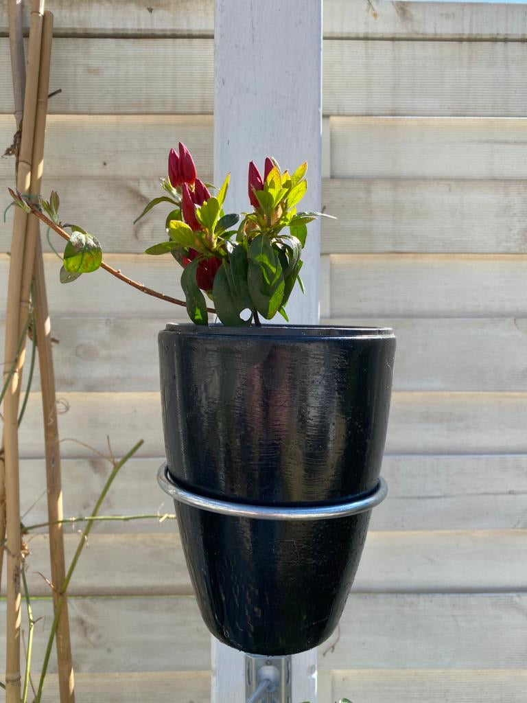 Image shows a pergola plant pot bracket ring holding a flowering plant. Available in a 3 pack for £11.75 and includes 3 plant pot holding rings, 3 brackets and 6 screws. Plant pot holding rings can be expanded from 4-inch pot to 8-inch pot. Purchase from potmagic.co.uk. Can be quickly screw fitted to fences, pergolas and walls with screw fittings provided. Brackets are made from strong galvanised steel. Pot holding ring is made from strong 6mm diameter galvanised steel.