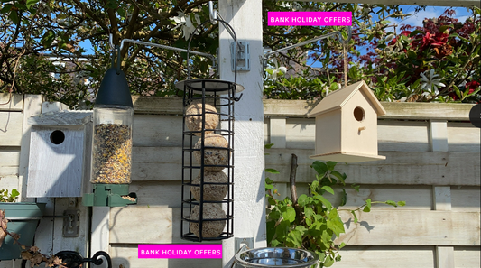 Pergola bird feeder bracket 3 pack - £7.99