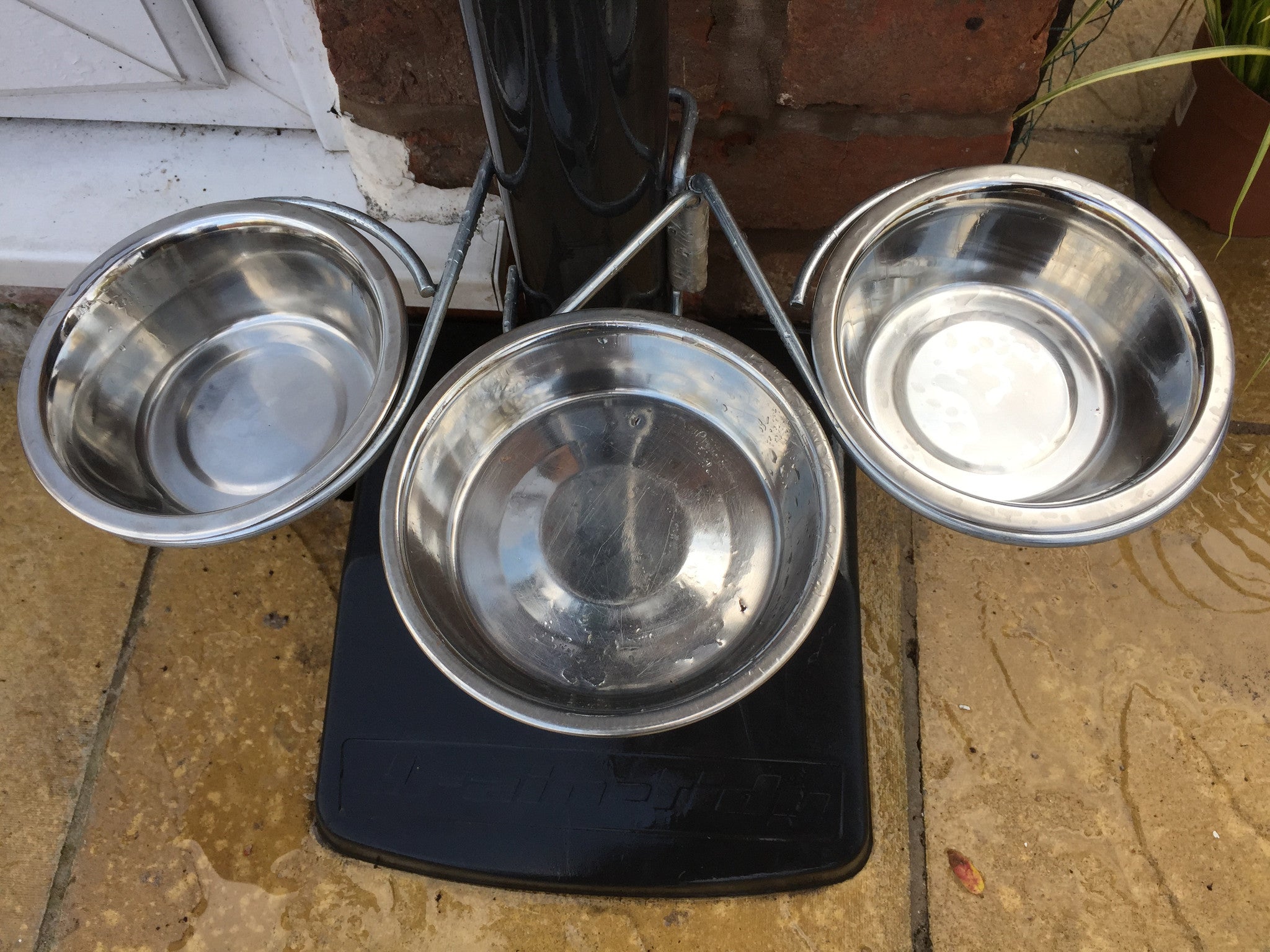 Outdoor dog feeding station holds 3 bowls 9.99 PotMagic
