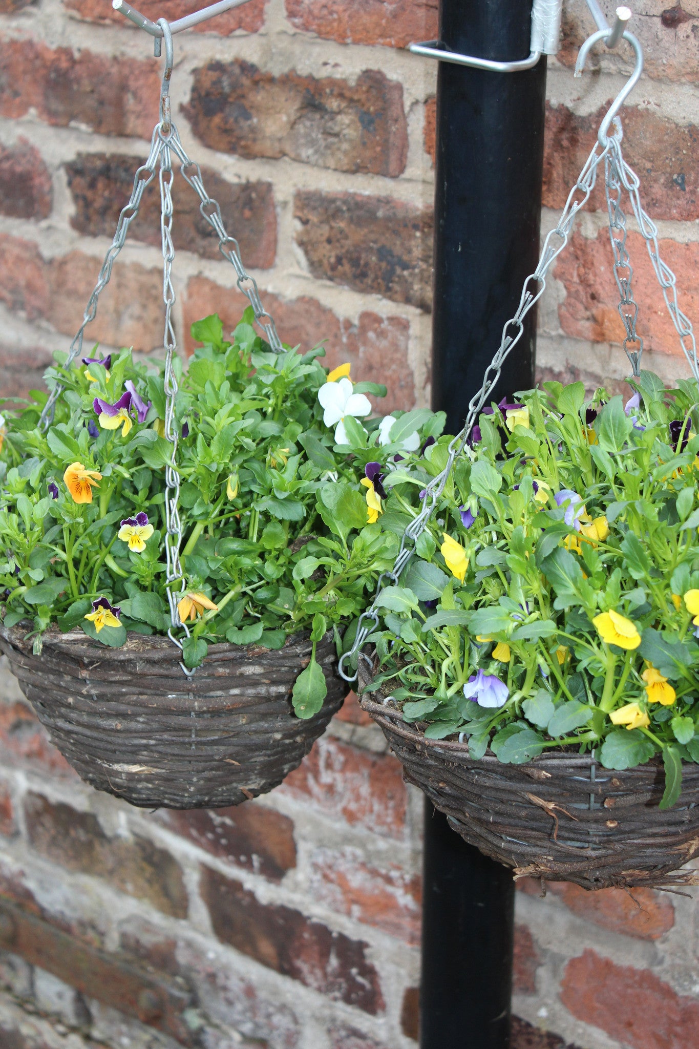drain-pipe-hanging-basket-holder-2-pack-potmagic