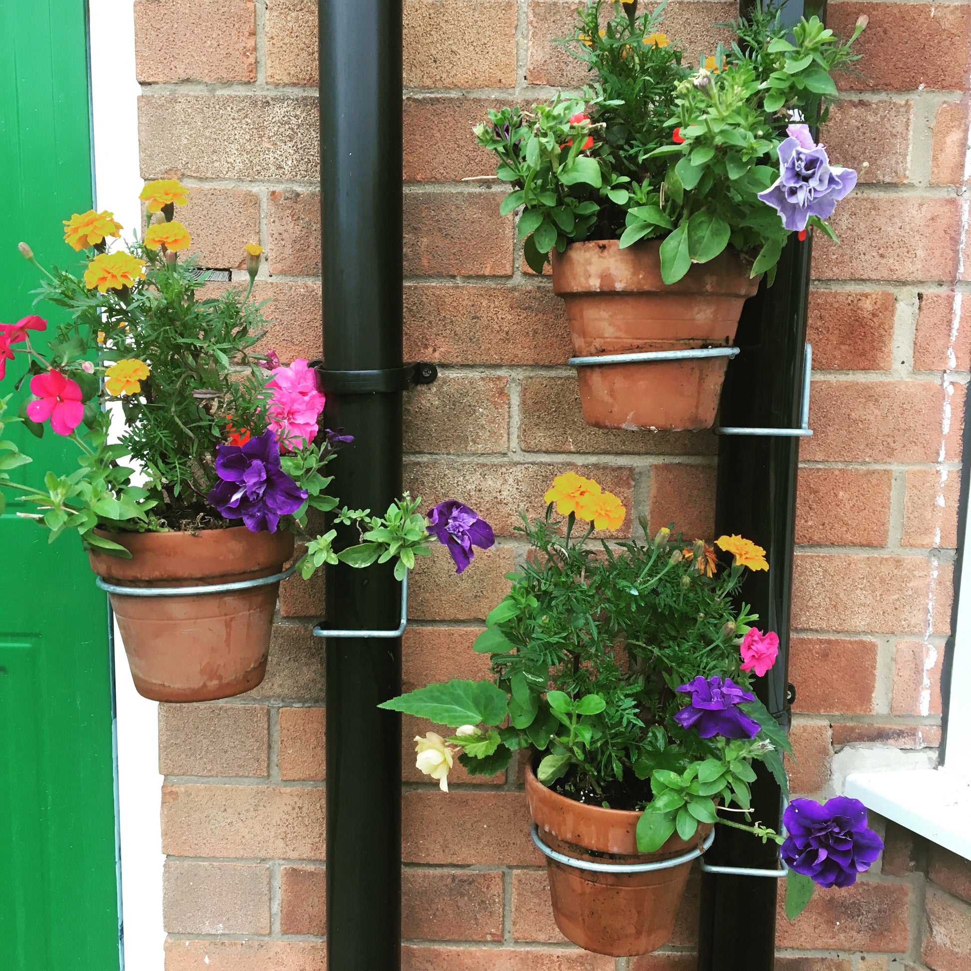 plant pots for drain pipes Drainpipe Plant Pot Holder Brackets 3 Pack for £11.99