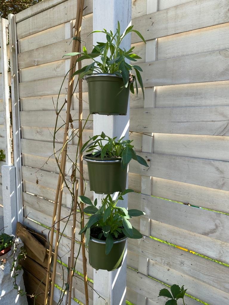 3 Single fence or wall or pergola post plant pot holders / hanging brackets £11.99 gardening garden drainpipe fence wall pergola plant hangers gardening herbs flowers pot hanging fit it seconds http://POTMAGIC.co.uk