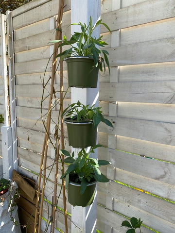 3 Pergola or Fence plant pot holders / hanging brackets  £11.99