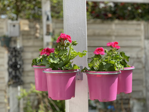 4 Single pergola post plant pot holders / hanging brackets  £11.99